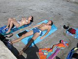 IMG_0537